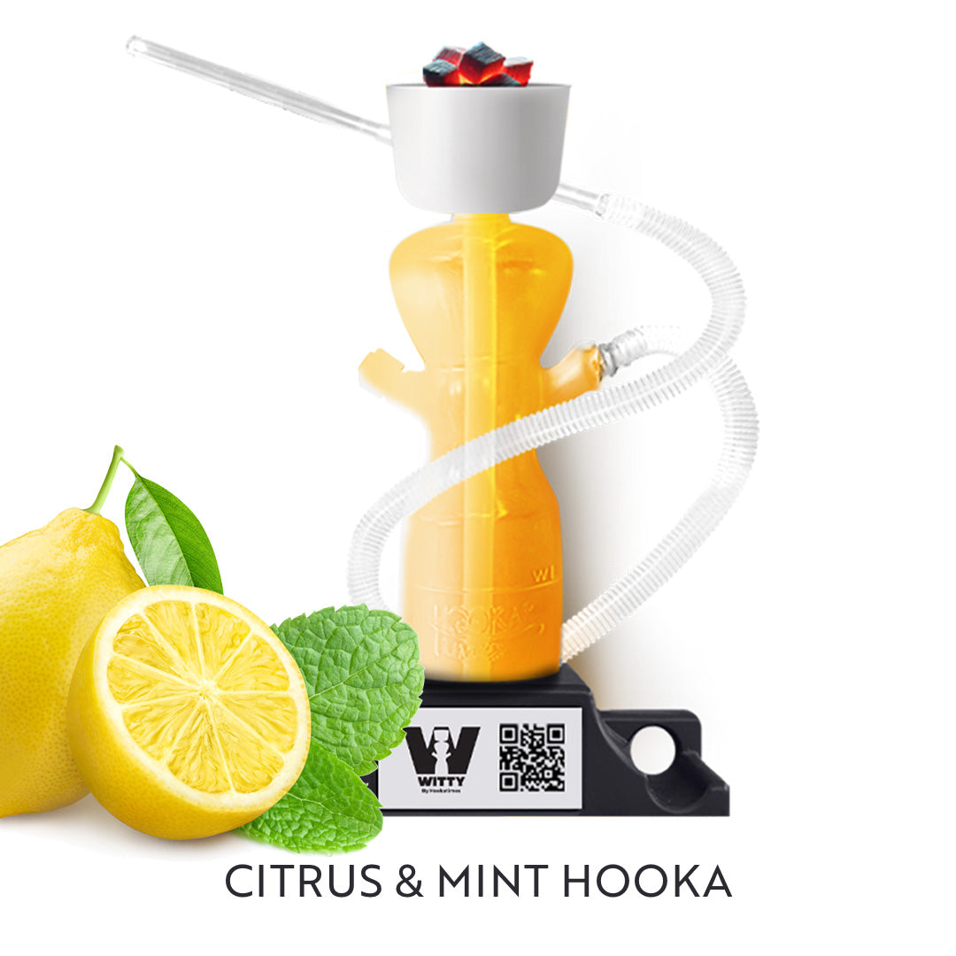 CITRUS & MINT HOOKA (PACK OF 12)